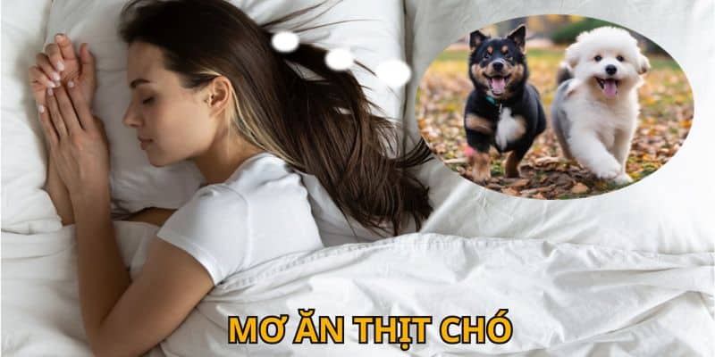 Mơ ăn thịt chó